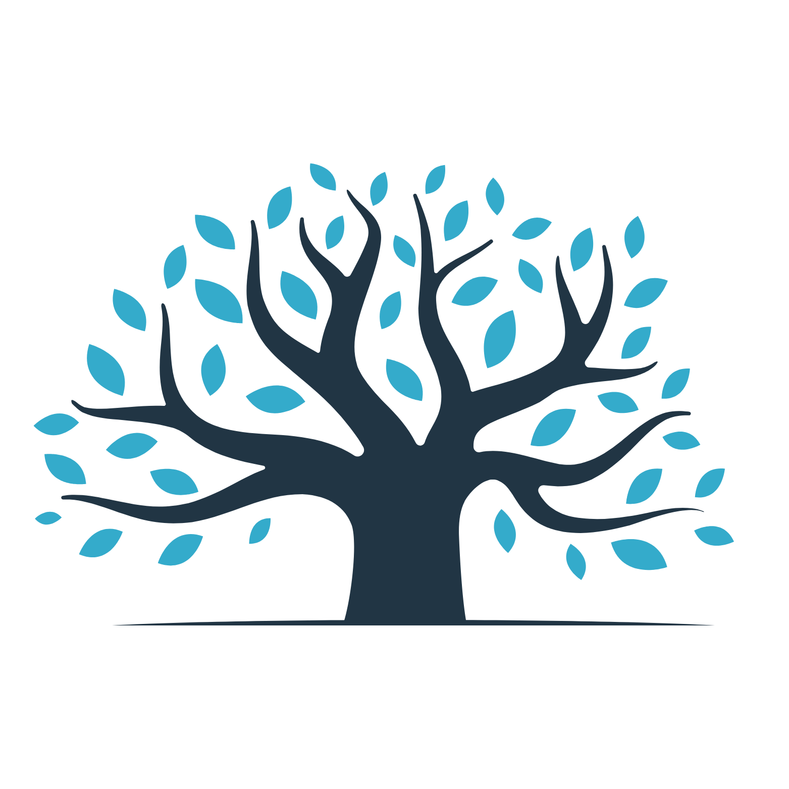 oakwoodops-supportservices.com favicon
